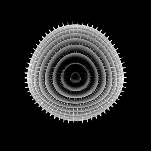 Animated-GIFs-davidope-11.gif
