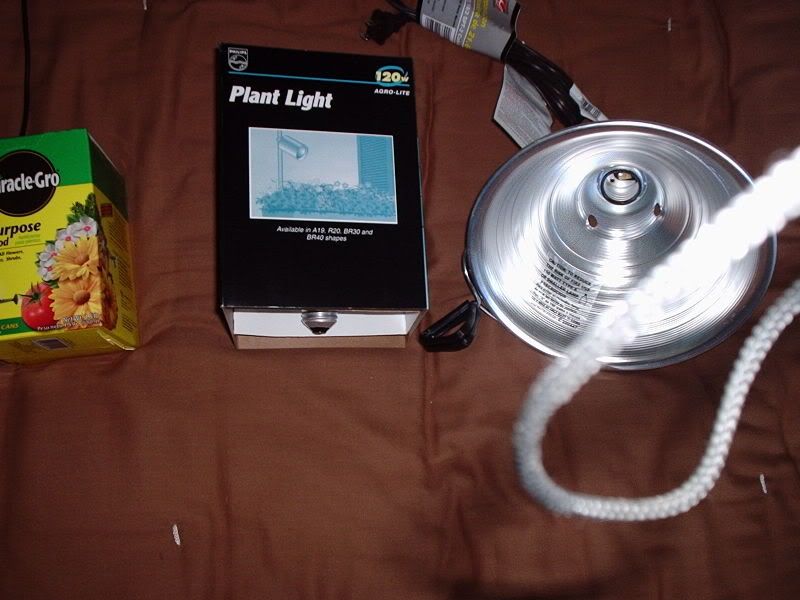 P6020017.jpg