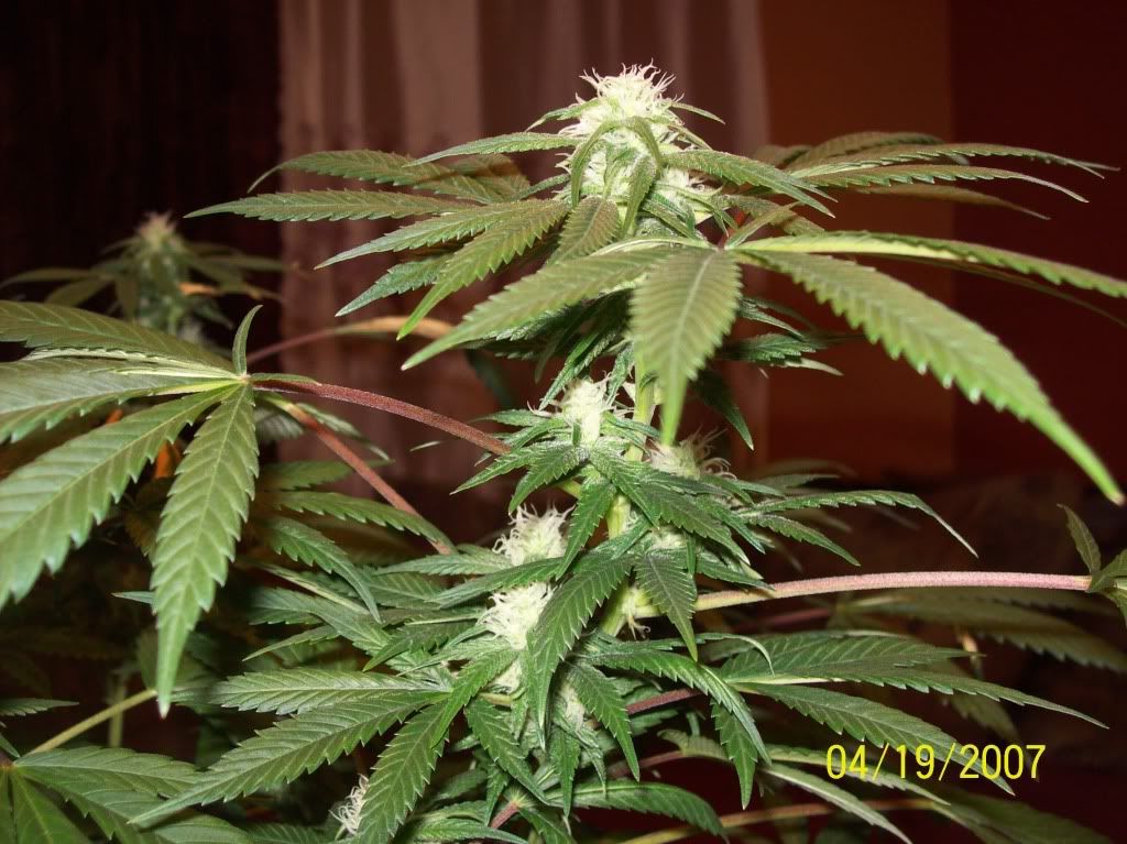 100_8563.jpg