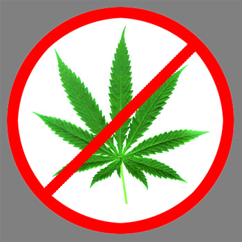No+Weed.jpg