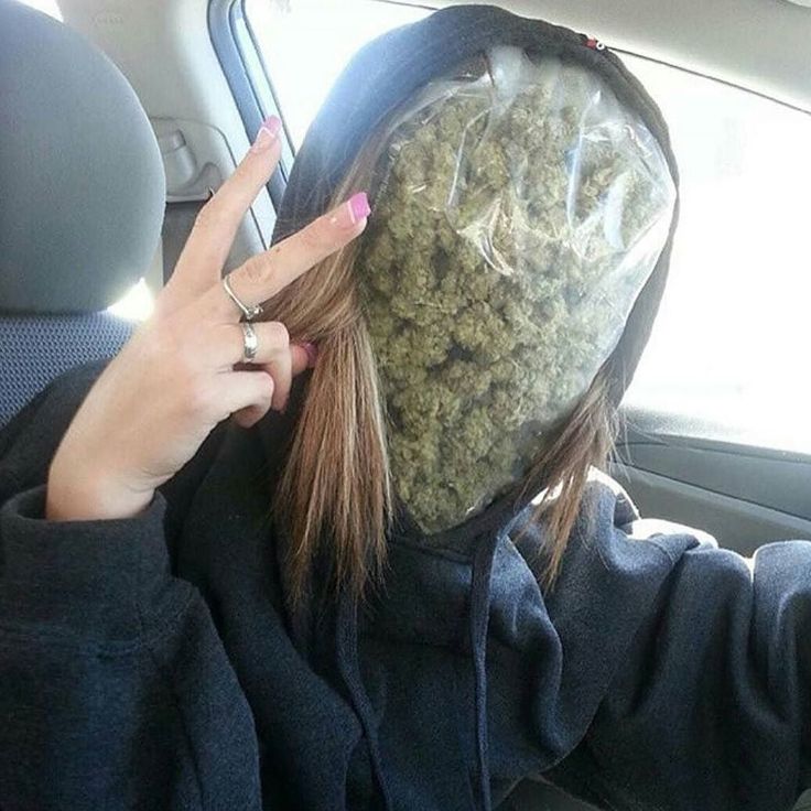 12b38d3cc89127a6a7de5a540d703c55--weed-humor-stoner-humor.jpg