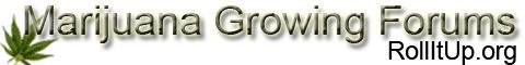 banner02_468x60.jpg
