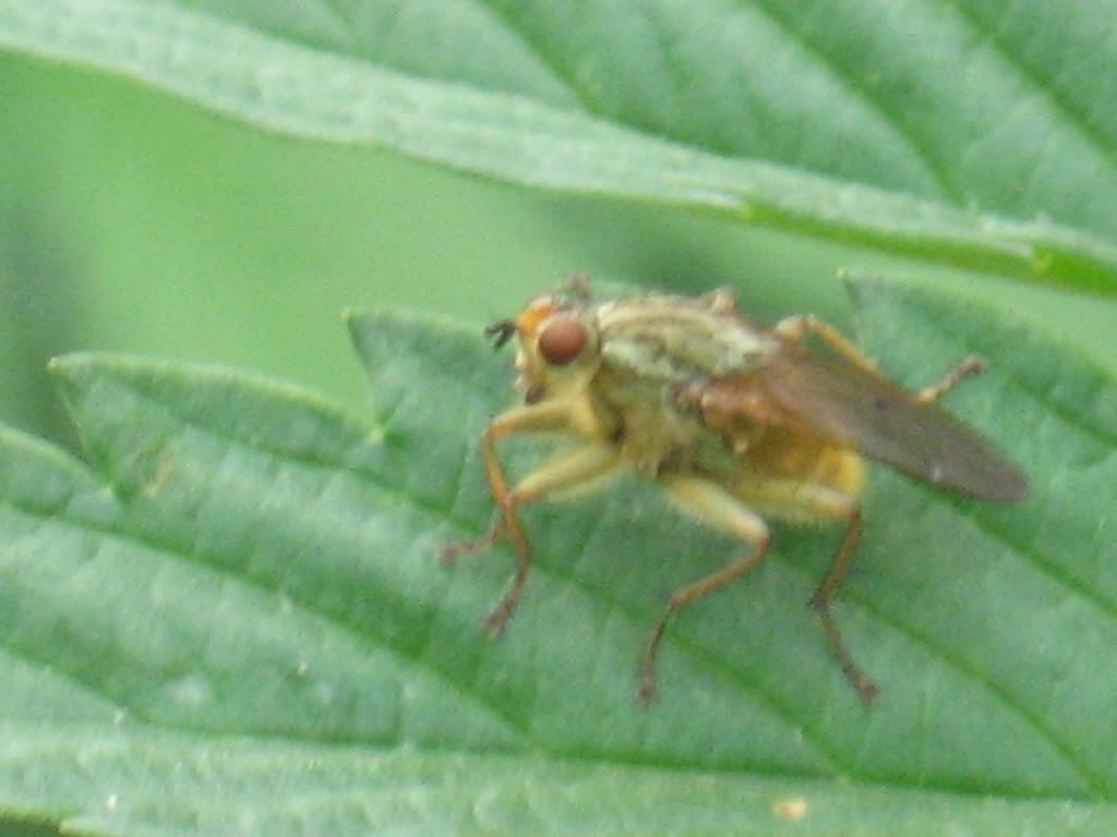 IMG_0972.jpg