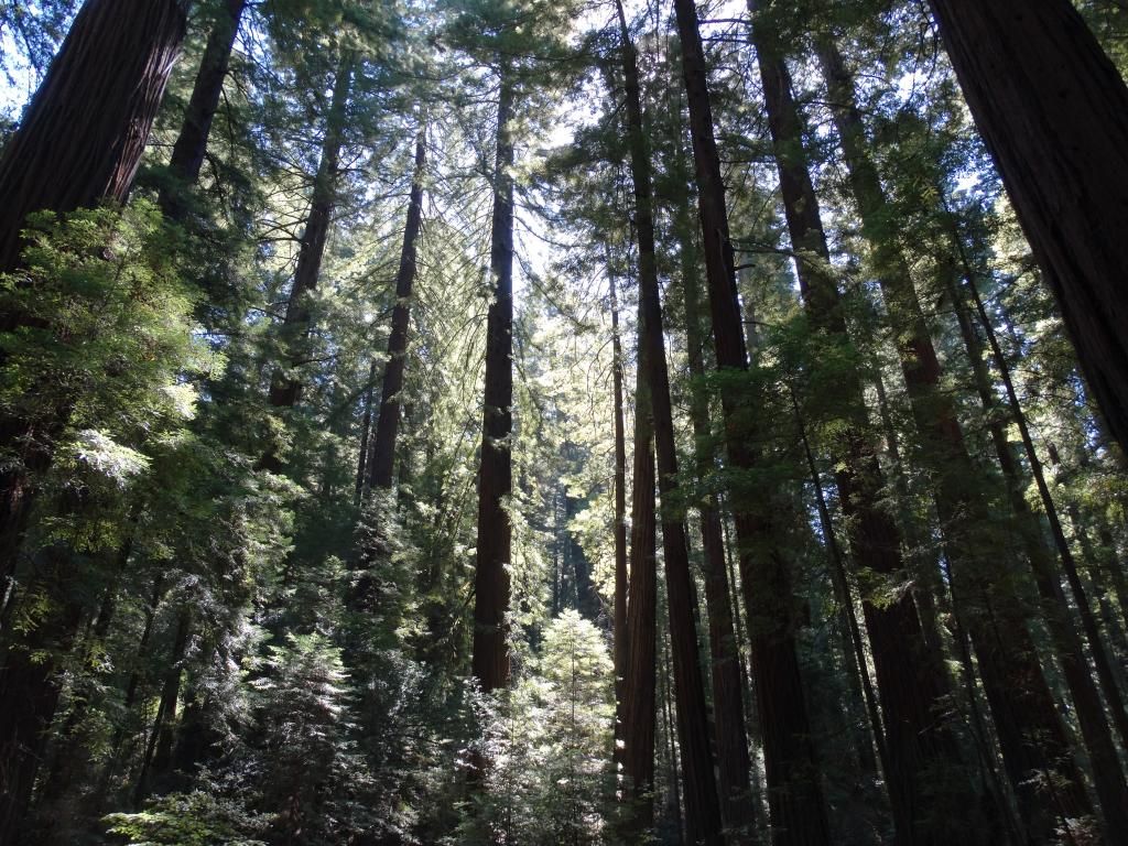 DSC05933_zpscd5a9245.jpg