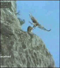 S0tNUac.gif