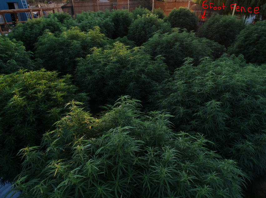 Capture_zps2fe08501.png