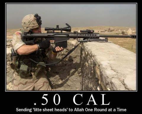 50cal.jpg