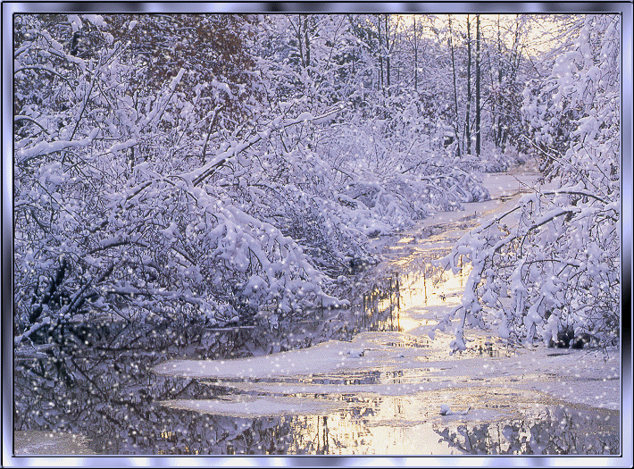 snow.gif