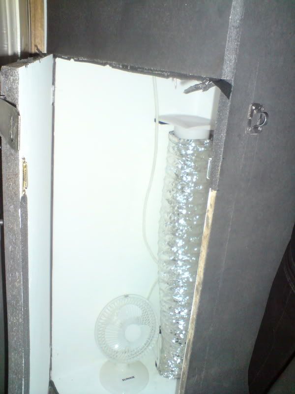 DSC00376.jpg