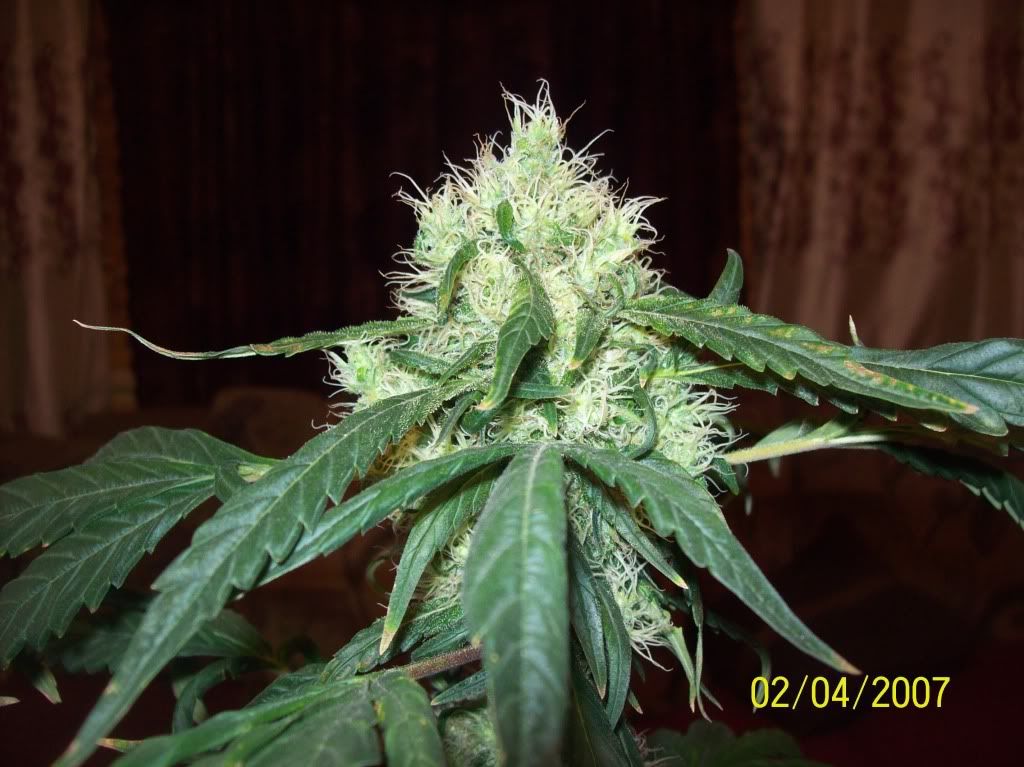 100_8019.jpg