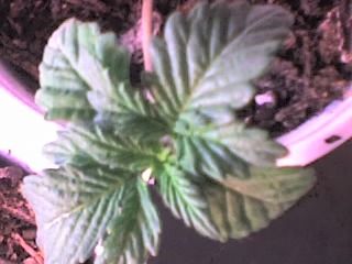 09-01-07_1143.jpg