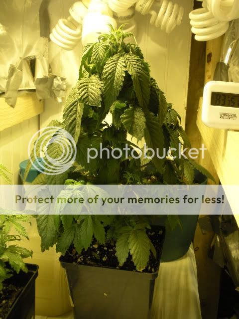 DSCN0627.jpg
