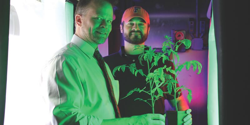 UnivFlorida_KevinFolta_ThomasColquhoun-800x400.jpg