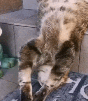 1675193357_17.gif