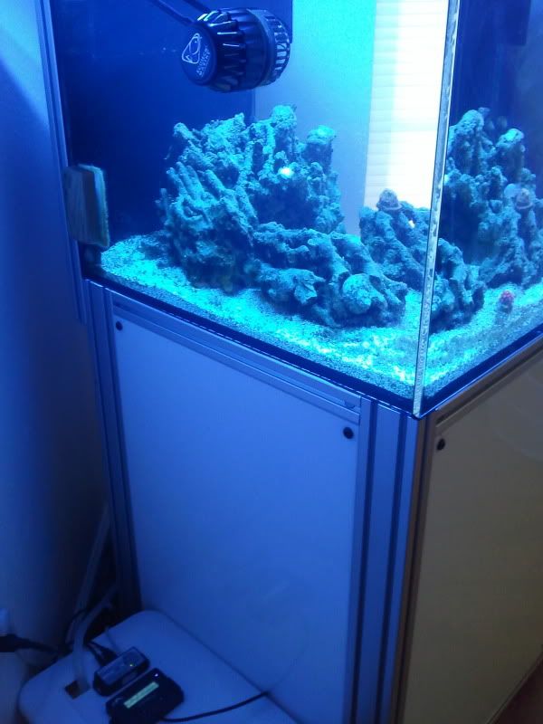 2011-03-10073729.jpg