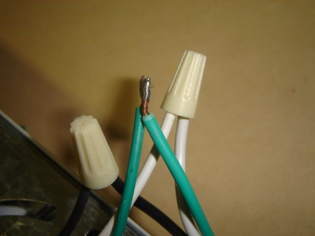 DSC08451.jpg