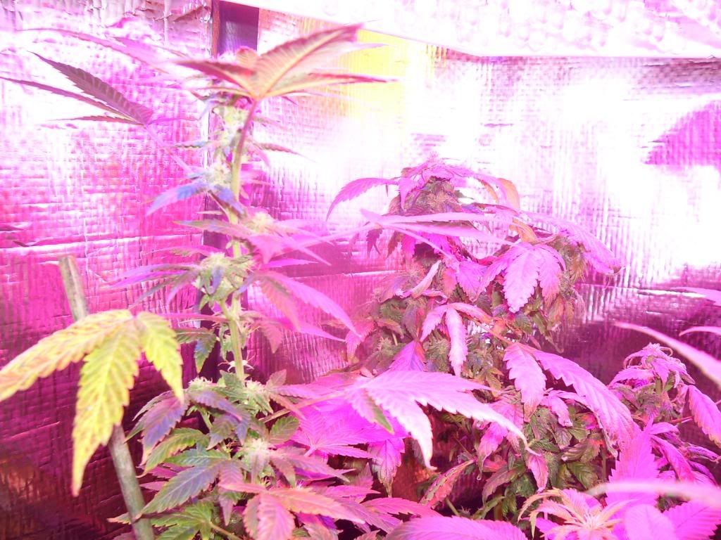 100_0840.jpg