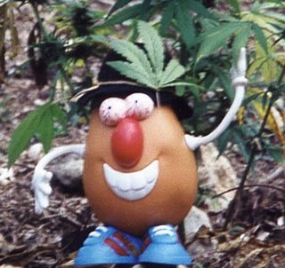 Cannabis.jpg