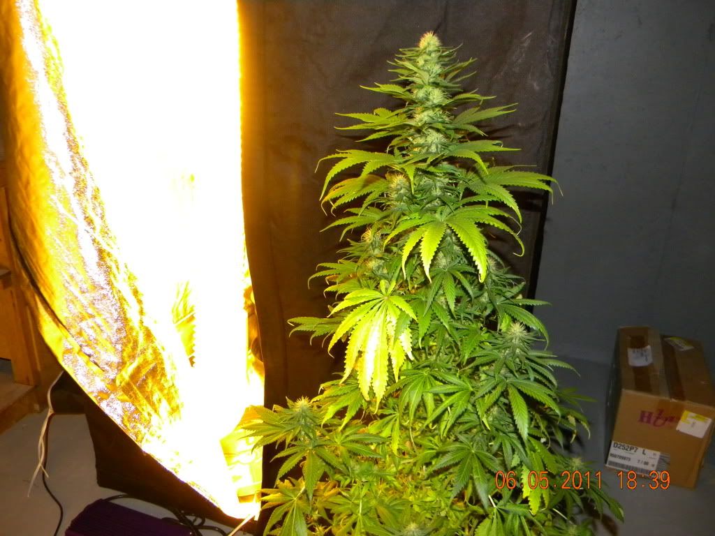 DSCN2359.jpg