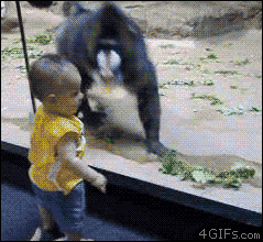 oNqIK61.gif