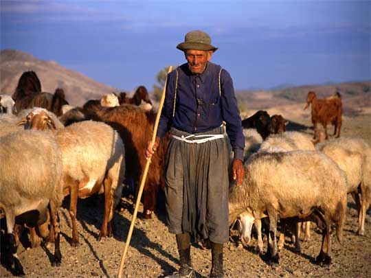 goatherder.jpg