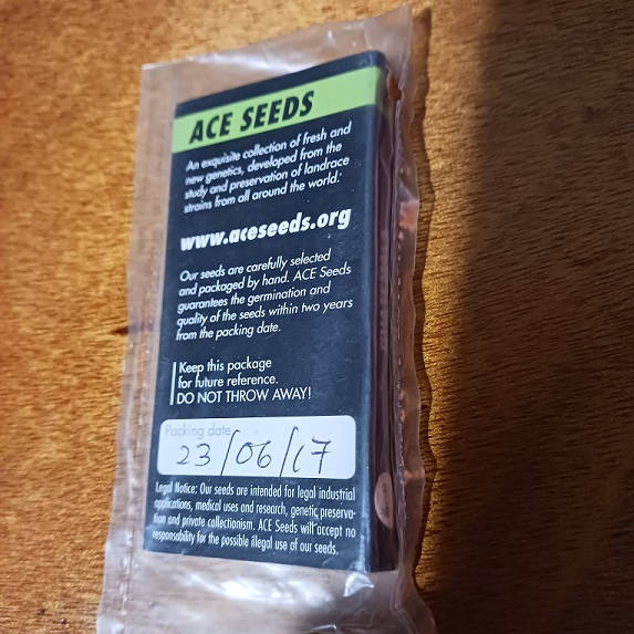 aceguatemala2.jpg