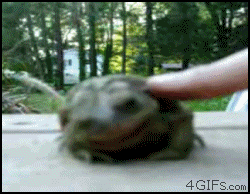 gifs_07.gif