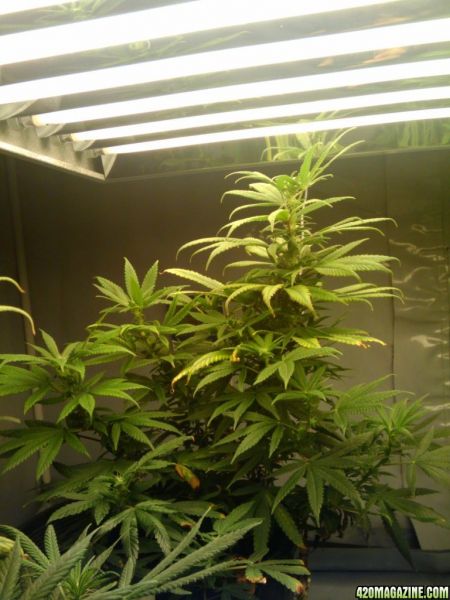 2009-10-14_22_03_24.jpg