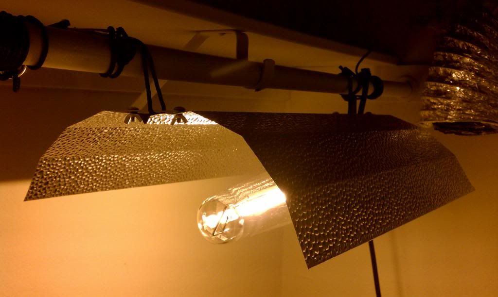 IMAG0016_zps9b1216ba.jpg