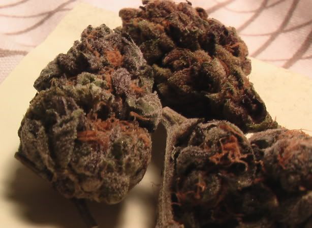 weed123.jpg