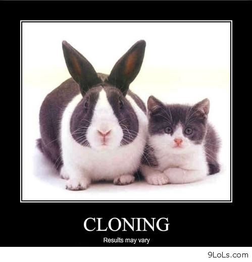 Cloning Is Good Quotes. QuotesGram