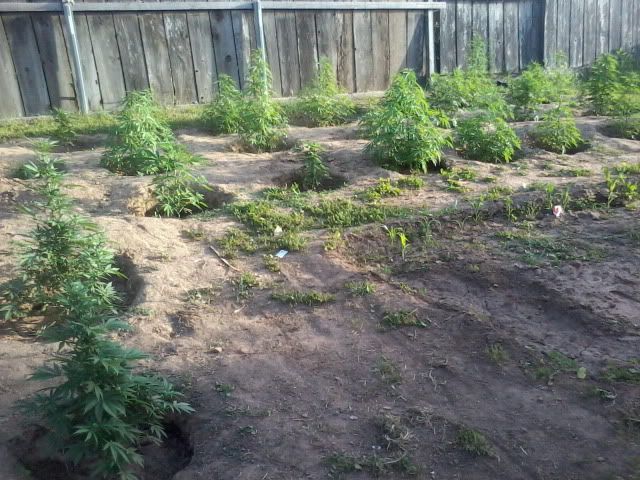 120508_004-1.jpg