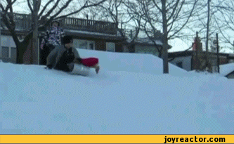 gif-snow-dog-animals-374284.gif