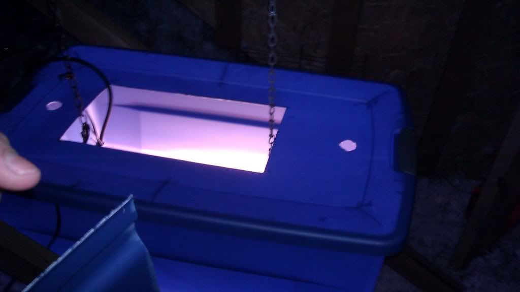 IMAG0957.jpg