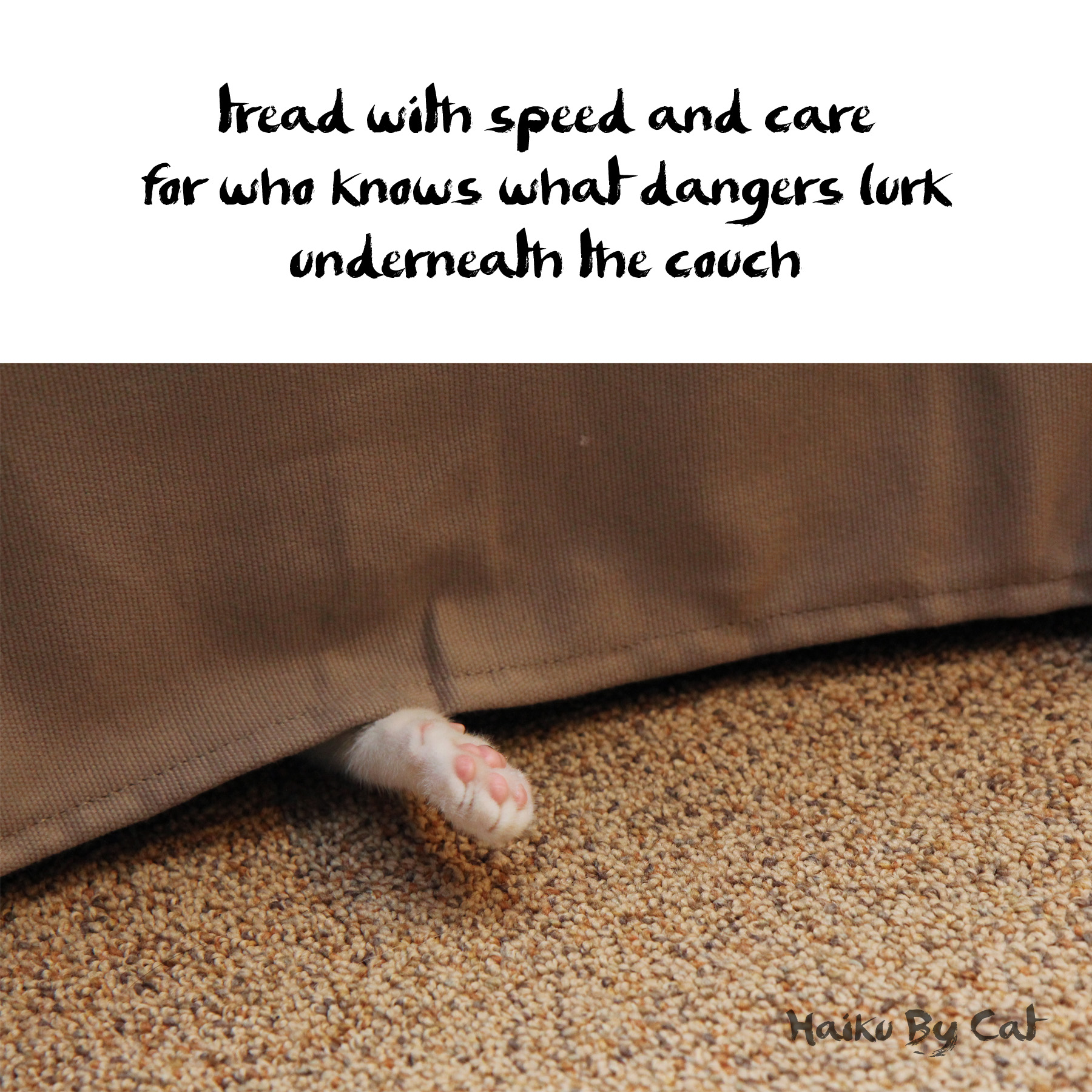 Calvin-under-couch-dangers.jpg