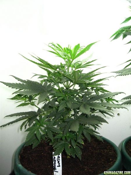 BB_CC_Update_Sep21_080.jpg