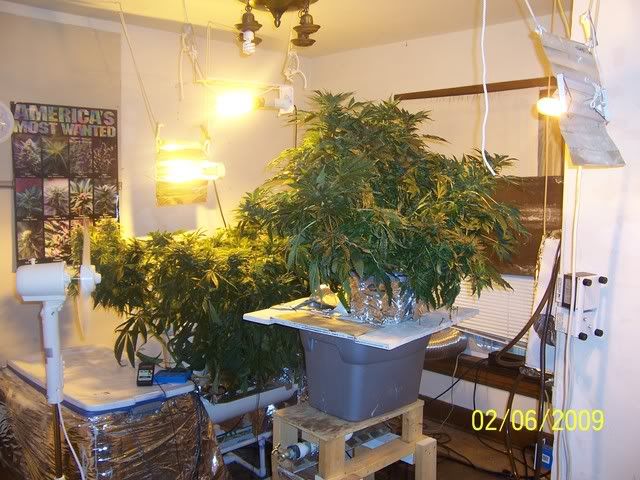 100_1249.jpg