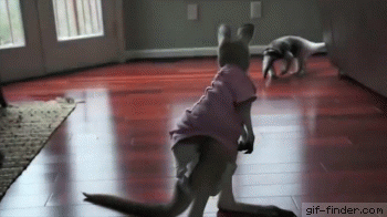 e3784b48996b31d9473fd45e179f3213.gif