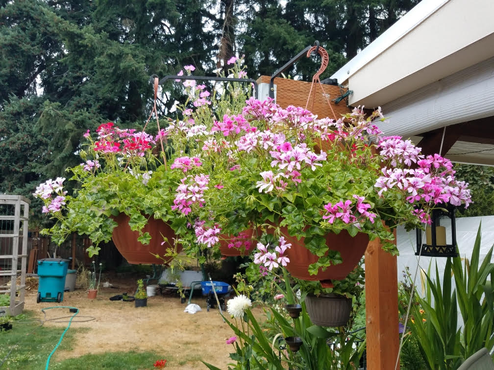 07112021flowers1.jpg