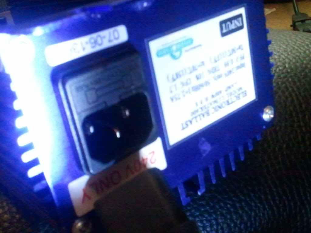 2011-02-22153705.jpg