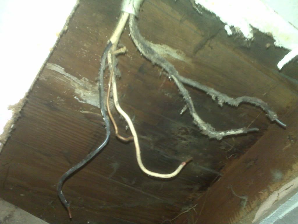 IMG01609.jpg