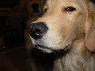 suspicious.jpg
