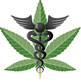 MMJsymbol_green81.jpg