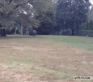 5aOPI6j.gif