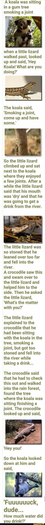l6c7rUr.jpg