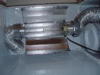 P5100224.jpg