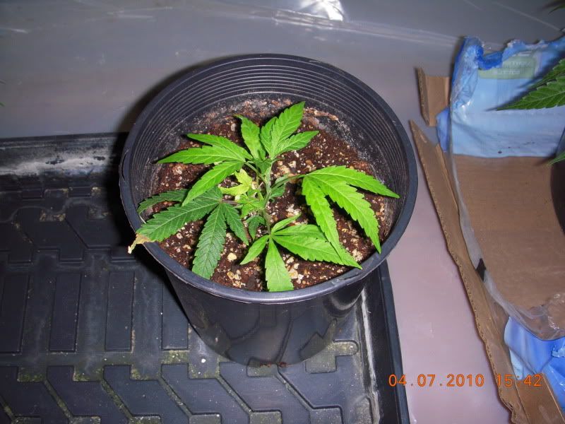 PK0202.jpg