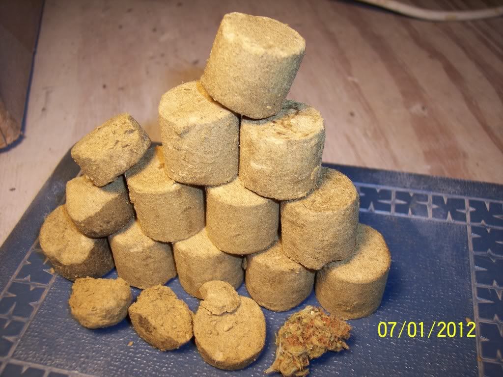 100_1862.jpg