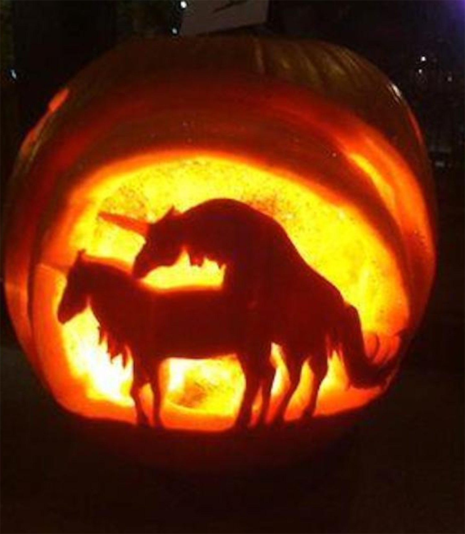 pumpkins-3.jpg