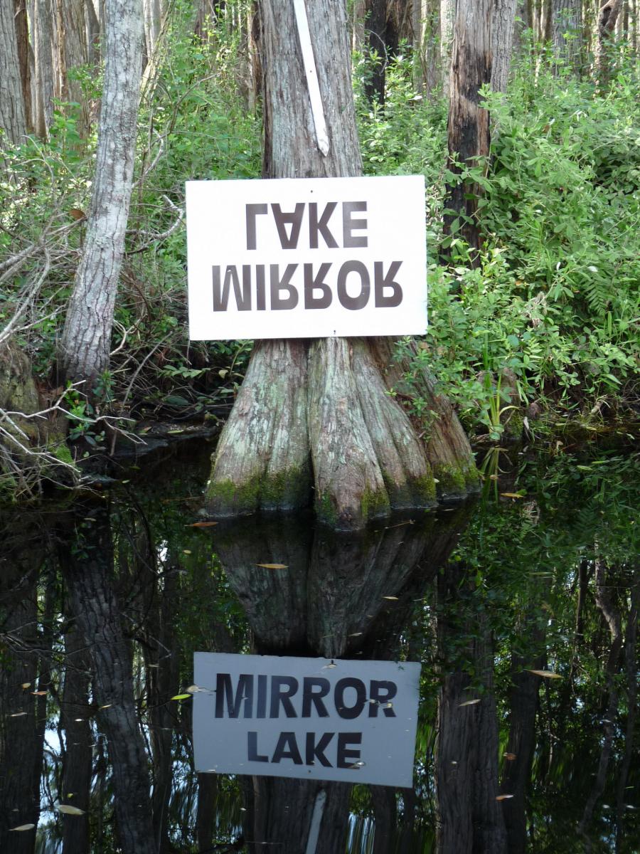 MyLaG.jpg